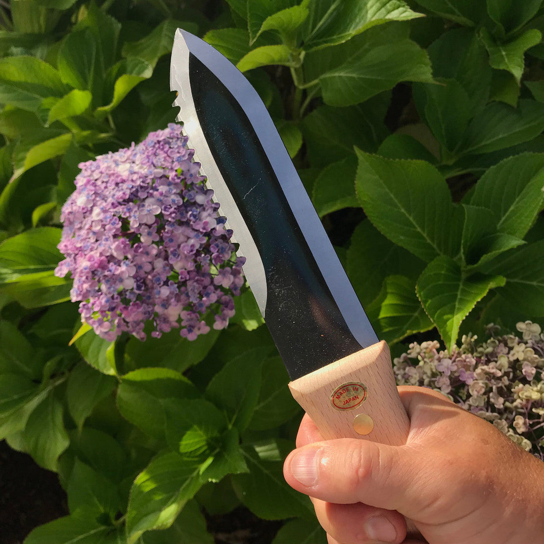 A Beginner's Guide to the Hori Hori Garden Knife: Your Essential Gardening Tool