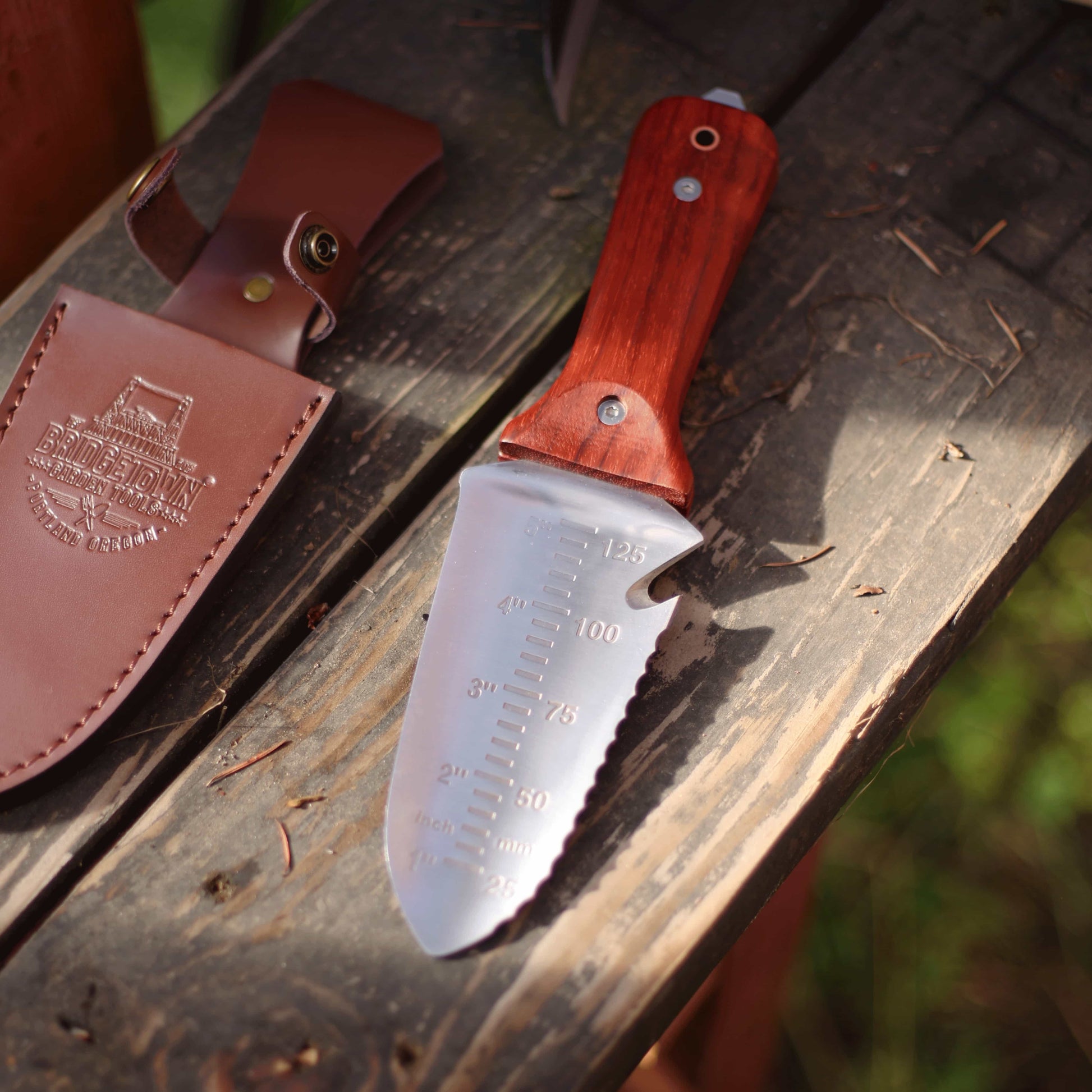 Shorty Hori Horihori.com